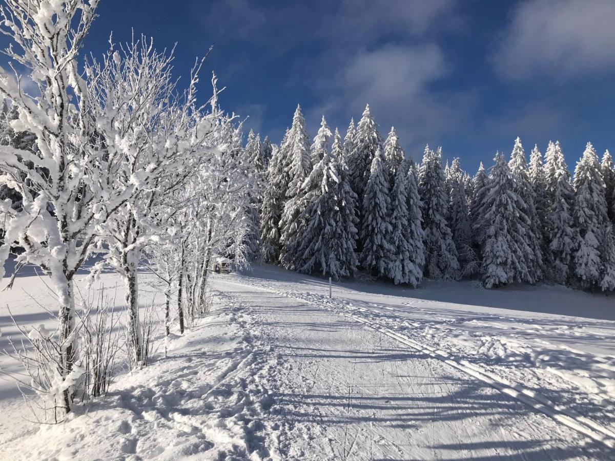 Hoehengasthaus Kolmenhof An Der Donauquelle フルトヴァンゲン エクステリア 写真